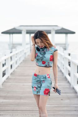 驯服小挗子2韩语中字