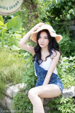 安娜的迷宫